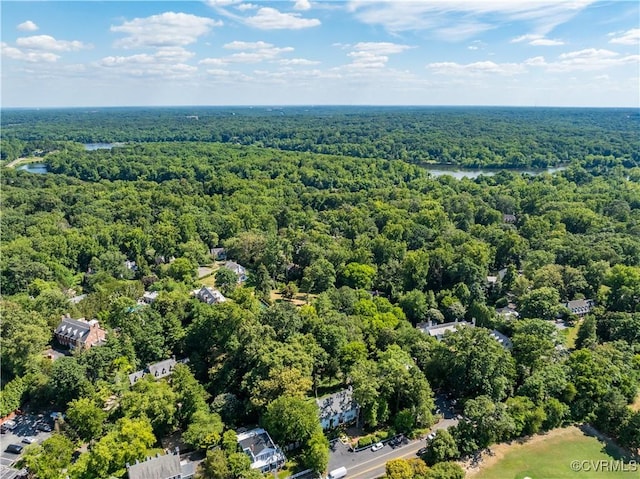 7 River Rd, Richmond, VA 23226 - aerial view of a forest and a large body of water
