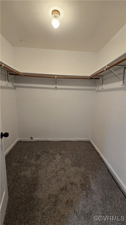 1916 Boardman Ln, Henrico, VA 23238 - spacious closet with carpet