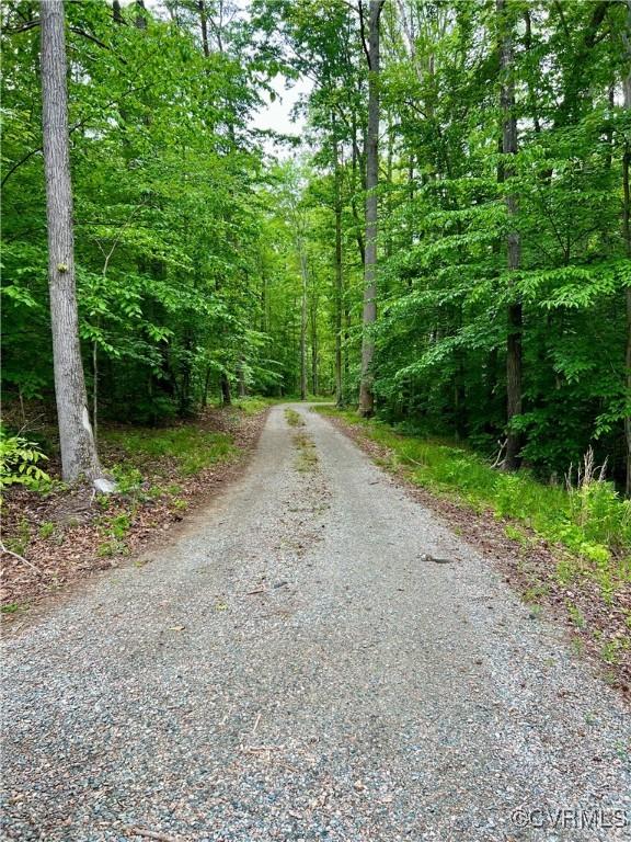4482 Anderson Hwy, Powhatan, VA 23139 - view of street with a view of trees