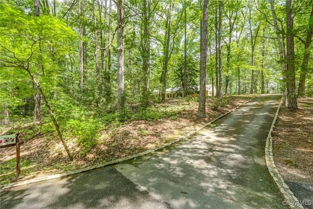 view of road with a view of trees