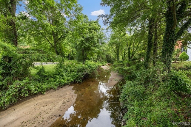 view of nature