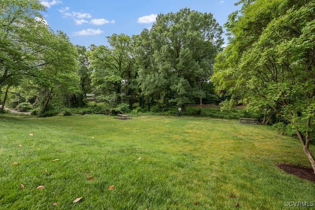 view of grassy yard