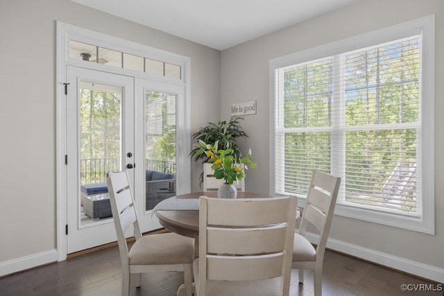 dining area featuring baseboards, plenty of natural light, and dark wood-style flooring