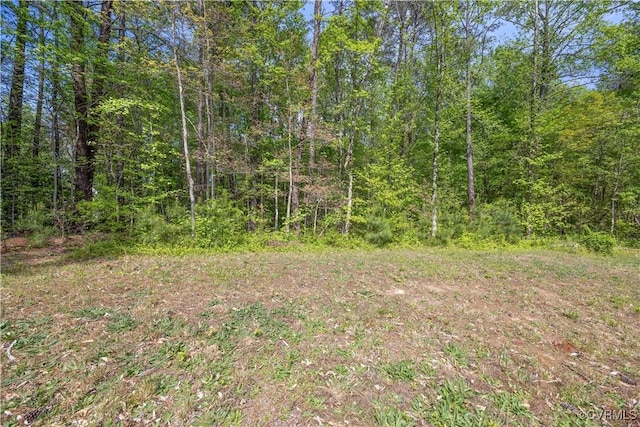 view of nature with a wooded view
