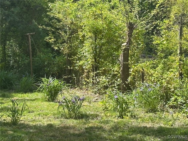 view of nature with a wooded view