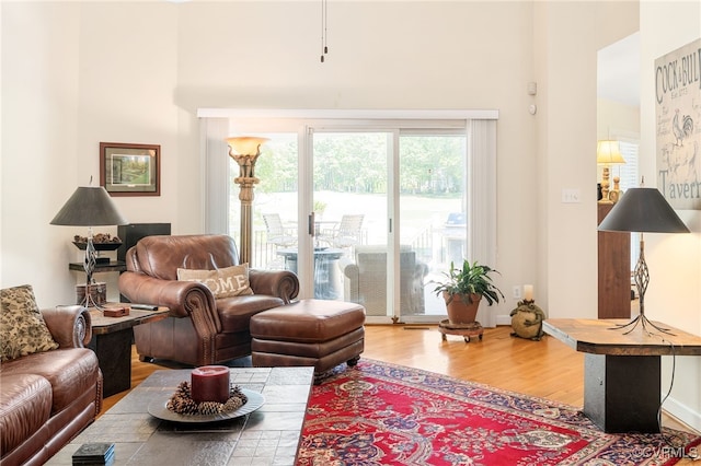 10932 Dominion Fairways Ln, Glen Allen, VA 23059 - living area with a high ceiling and wood finished floors