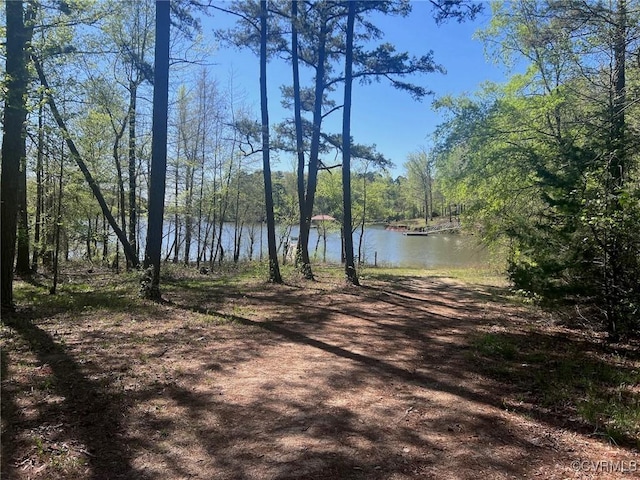 900 Buffalo Creek Rd, Buffalo Junction, VA 24529 - property view of water