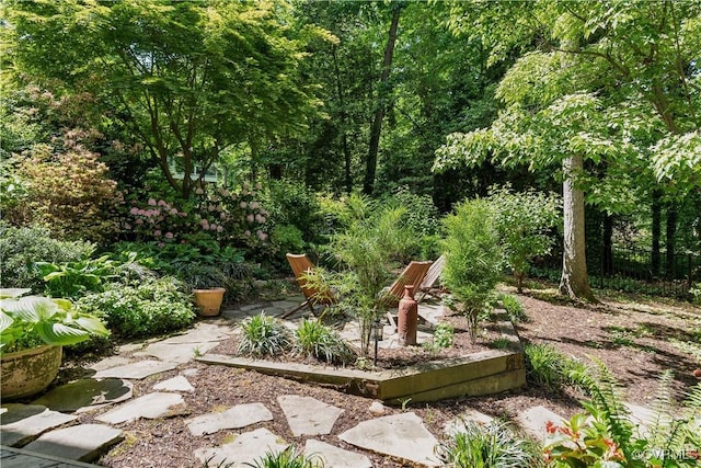 view of yard featuring a patio area