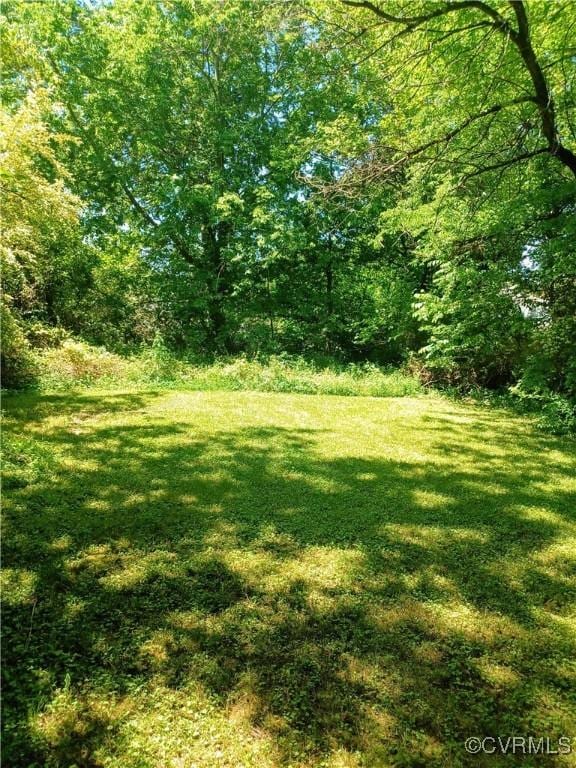 130 Elm St, Petersburg, VA 23803 - view of grassy yard with a wooded view