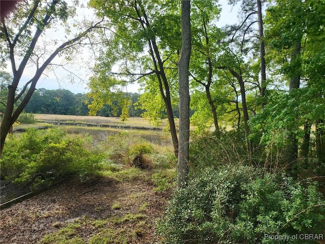 80 Anchorage Dr, Newport News, VA 23602 - view of yard featuring a view of trees