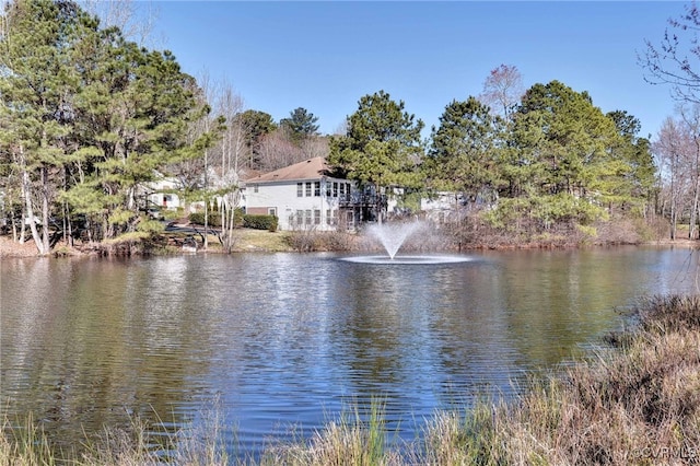 view of water feature