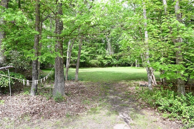 view of yard featuring a wooded view