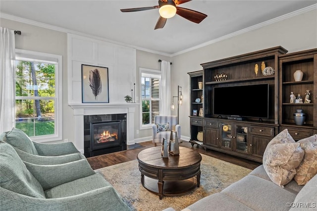 living area with a ceiling fan, ornamental molding, a fireplace, and wood finished floors
