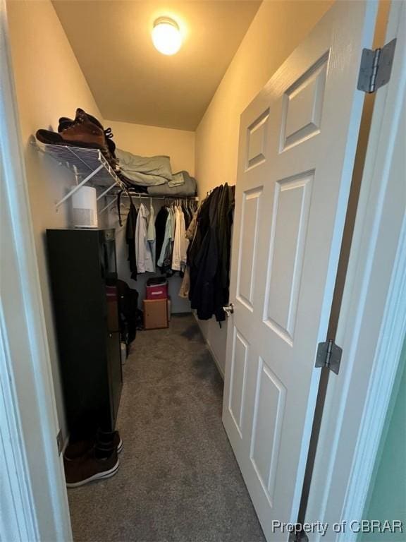 walk in closet with dark colored carpet
