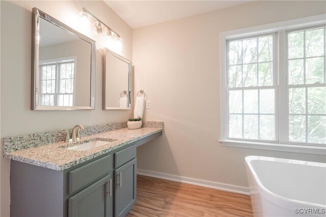 bathroom with baseboards, a freestanding bath, wood finished floors, and vanity