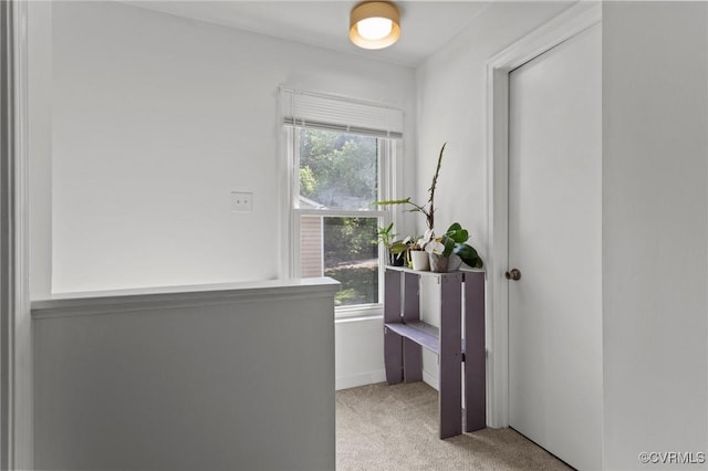 doorway featuring baseboards and light colored carpet
