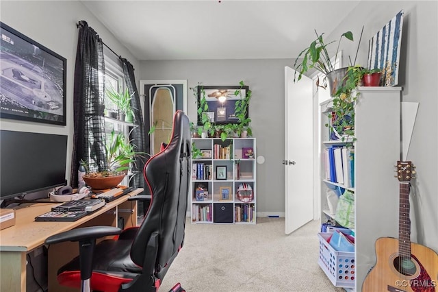 view of carpeted office space