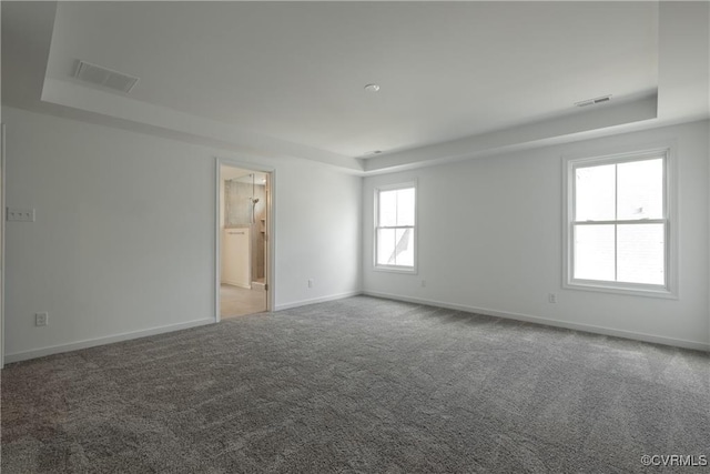 6081 Brickshire Dr, Providence Forge, VA 23140 - spare room with carpet flooring, a tray ceiling, visible vents, and baseboards
