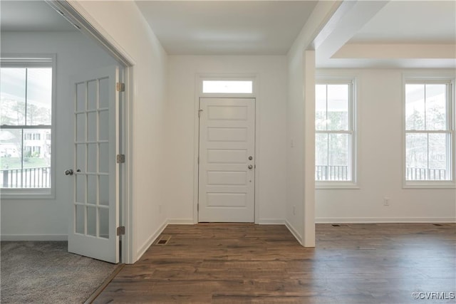 6081 Brickshire Dr, Providence Forge, VA 23140 - foyer entrance with baseboards, plenty of natural light, and dark wood-style floors
