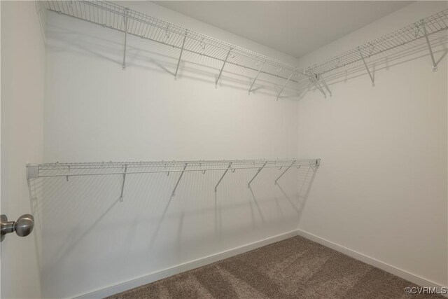 6081 Brickshire Dr, Providence Forge, VA 23140 - spacious closet with dark carpet