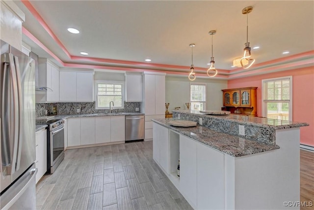 343 Liberty Rd, Buckingham, VA 23123 - kitchen featuring stainless steel appliances, a raised ceiling, a sink, white cabinets, and recessed lighting