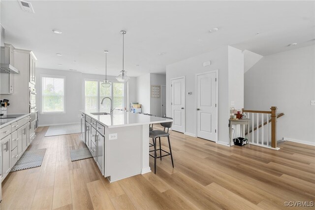 kitchen featuring a sink, light wood-style floors, an island with sink, baseboards, and visible vents