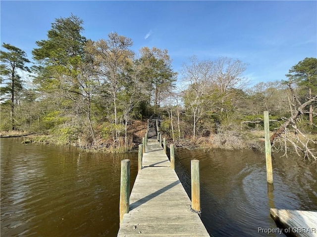 dock area with a water view