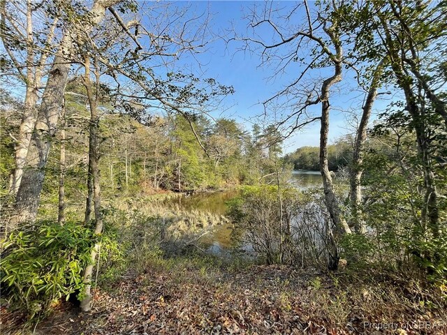 view of nature with a water view and a forest view
