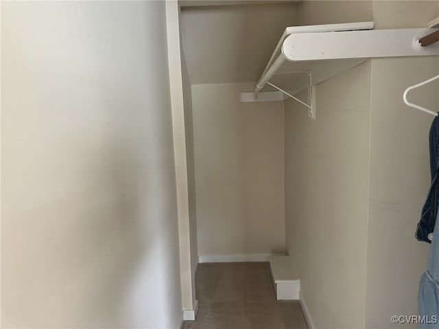 walk in closet with carpet