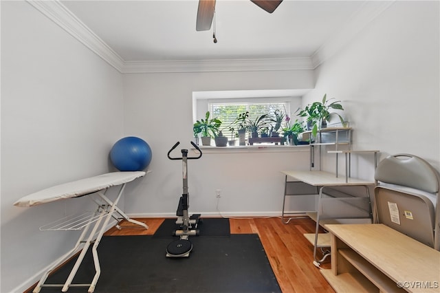 workout area featuring crown molding, baseboards, ceiling fan, and wood finished floors