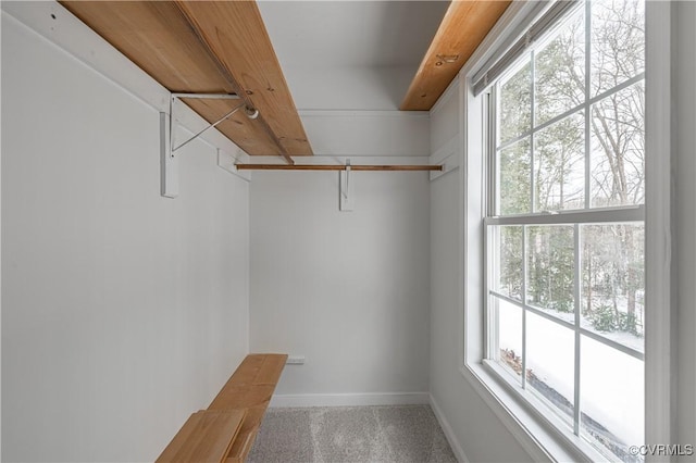 view of walk in closet