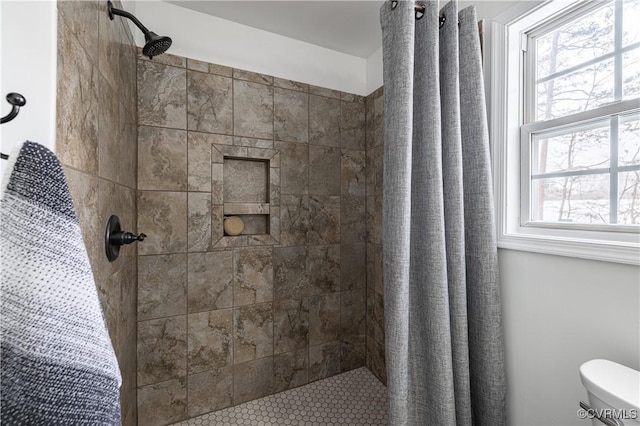 bathroom with toilet and a shower stall