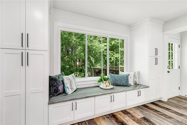mudroom with wood finished floors