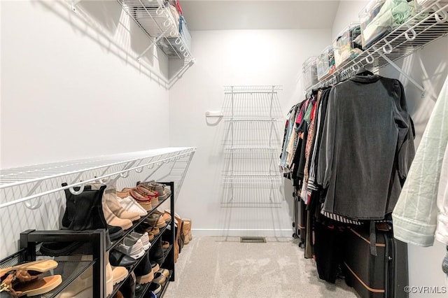spacious closet featuring carpet flooring