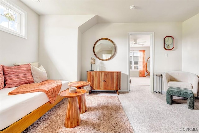 living area featuring carpet floors and a wealth of natural light