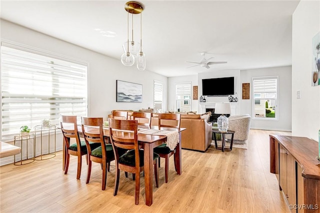 dining area with plenty of natural light, a ceiling fan, and light wood finished floors