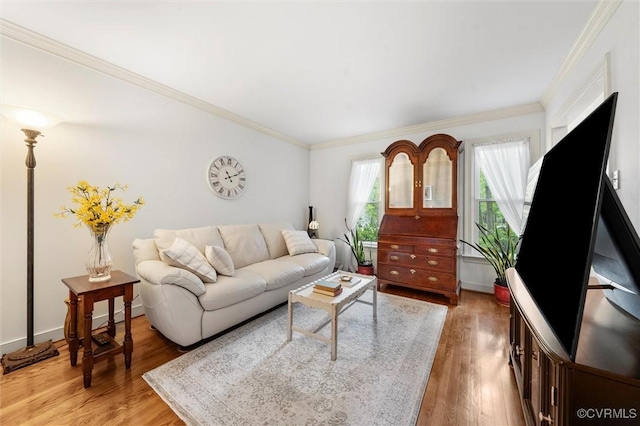 living room featuring ornamental molding and light wood-type flooring