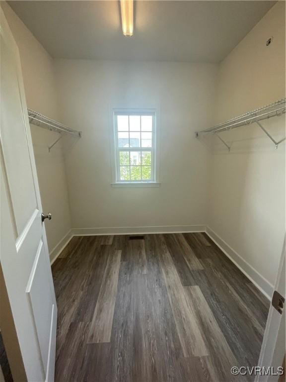 walk in closet with dark wood finished floors