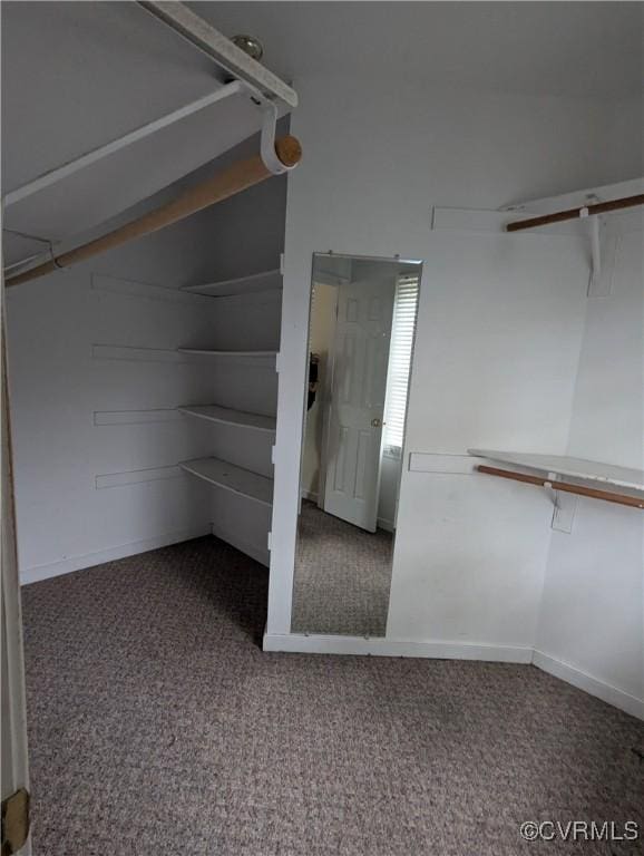 3900 Elmswell Dr, Richmond, VA 23223 - spacious closet with carpet