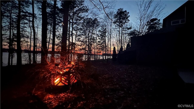 view of local wilderness