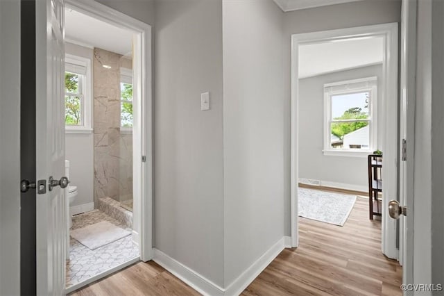 hall with baseboards, a wealth of natural light, wood finished floors, and ornamental molding