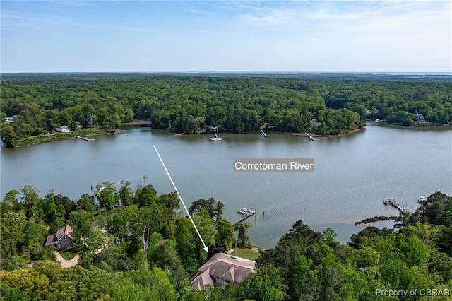 bird's eye view with a water view and a view of trees