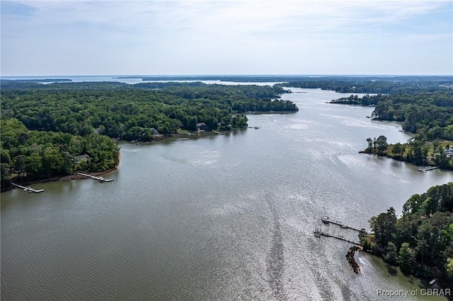 bird's eye view with a water view and a wooded view