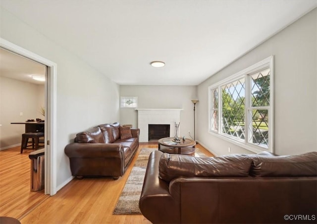 112 Webster Rd, Sandston, VA 23150 - living area featuring light wood-style flooring, a fireplace with flush hearth, and baseboards