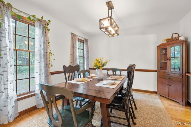 dining room featuring light wood-style floors, baseboards, and a healthy amount of sunlight
