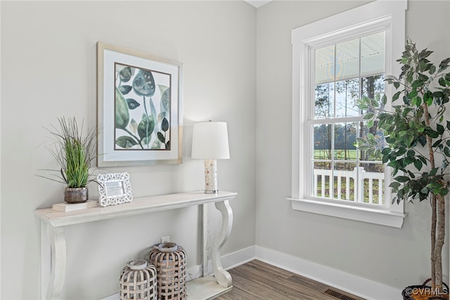 doorway featuring baseboards, wood finished floors, and a healthy amount of sunlight