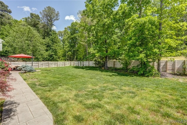 view of yard with a fenced backyard