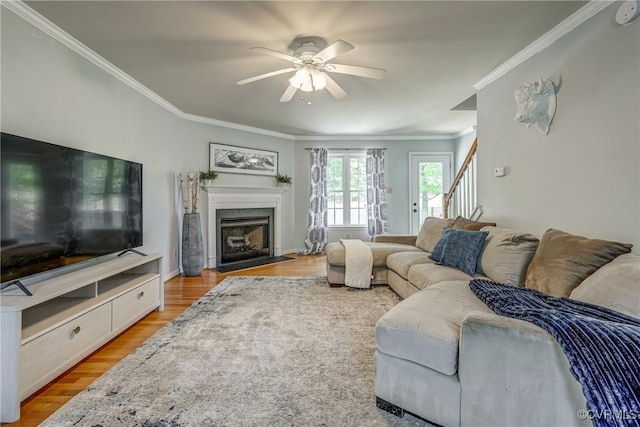 living area with stairs, light wood-type flooring, ceiling fan, crown molding, and a fireplace with flush hearth