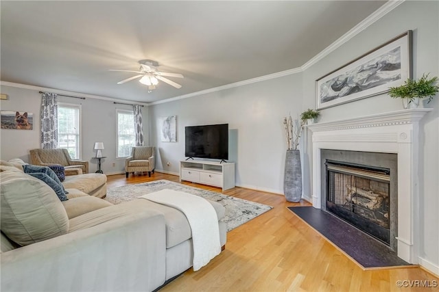 living area featuring a fireplace, ceiling fan, ornamental molding, and wood finished floors
