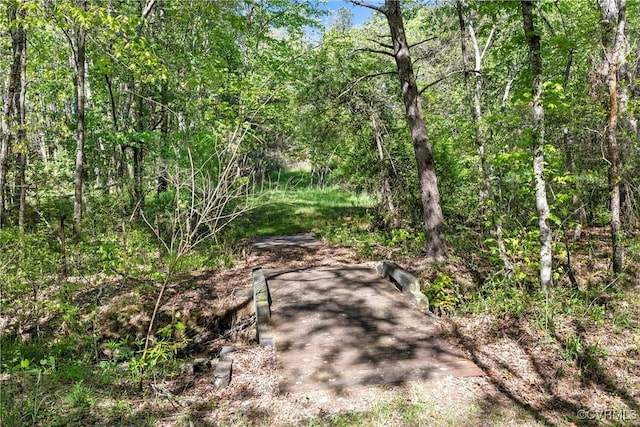 12421 Campbell Rd, Orange, VA 22960 - exterior space featuring a wooded view